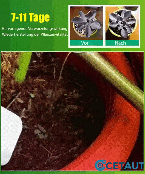 Plantengroeibevorderaar (8 flessen) - Versnelt de wortelvorming, bloei en groentegroei in 7 dagen! 🌼🌱✨