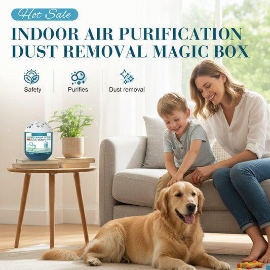Indoor Air Purification Dust Removal Magic Box – No Power, No Effort, Just Cleaner Air